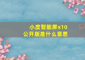 小度智能屏x10公开版是什么意思