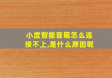 小度智能音箱怎么连接不上,是什么原因呢