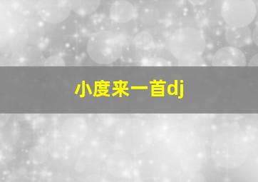 小度来一首dj