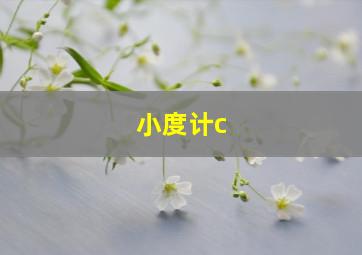 小度计c