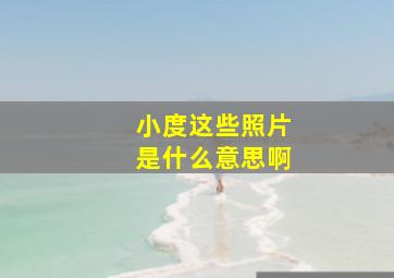 小度这些照片是什么意思啊