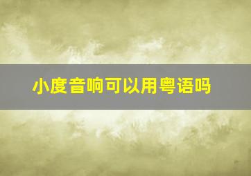 小度音响可以用粤语吗