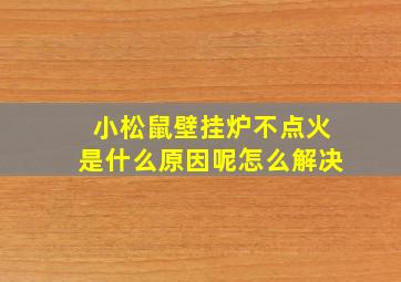 小松鼠壁挂炉不点火是什么原因呢怎么解决