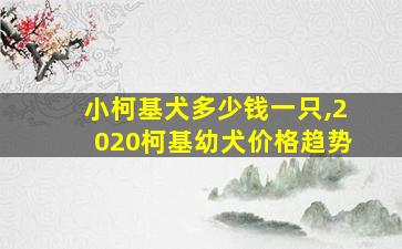 小柯基犬多少钱一只,2020柯基幼犬价格趋势