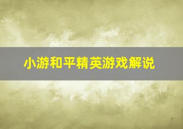 小游和平精英游戏解说