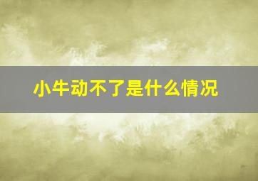 小牛动不了是什么情况