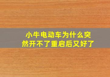 小牛电动车为什么突然开不了重启后又好了