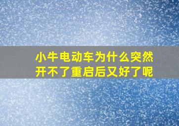 小牛电动车为什么突然开不了重启后又好了呢