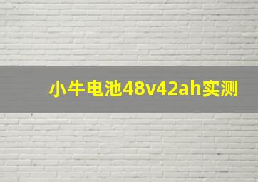 小牛电池48v42ah实测