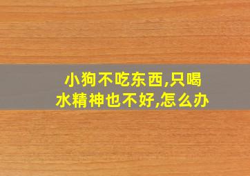 小狗不吃东西,只喝水精神也不好,怎么办