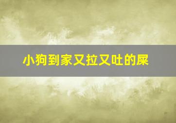 小狗到家又拉又吐的屎