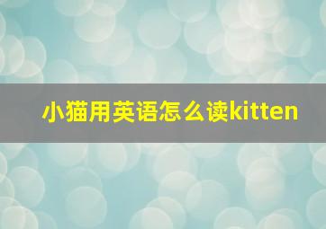 小猫用英语怎么读kitten