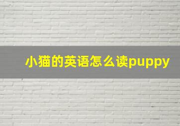 小猫的英语怎么读puppy