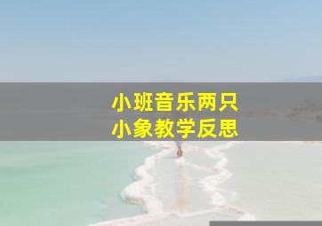 小班音乐两只小象教学反思