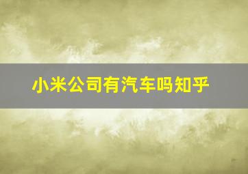 小米公司有汽车吗知乎