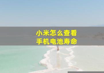 小米怎么查看手机电池寿命