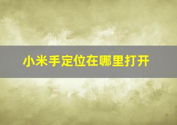 小米手定位在哪里打开