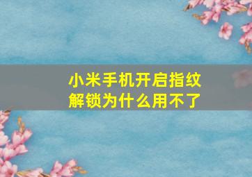 小米手机开启指纹解锁为什么用不了