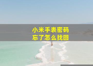 小米手表密码忘了怎么找回