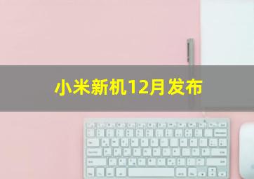 小米新机12月发布