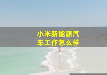 小米新能源汽车工作怎么样