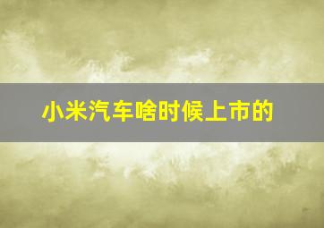 小米汽车啥时候上市的