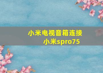 小米电视音箱连接小米spro75