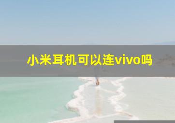 小米耳机可以连vivo吗