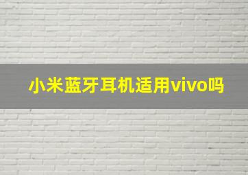 小米蓝牙耳机适用vivo吗