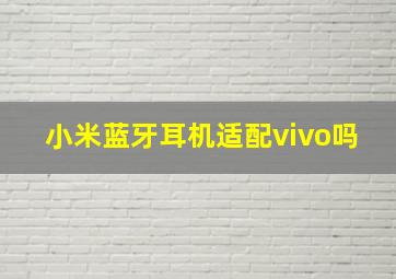 小米蓝牙耳机适配vivo吗