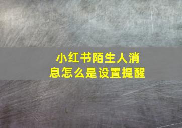 小红书陌生人消息怎么是设置提醒