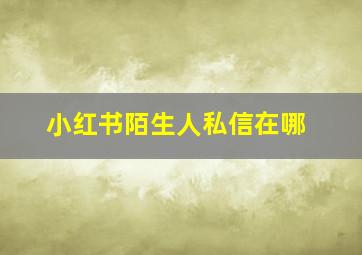 小红书陌生人私信在哪