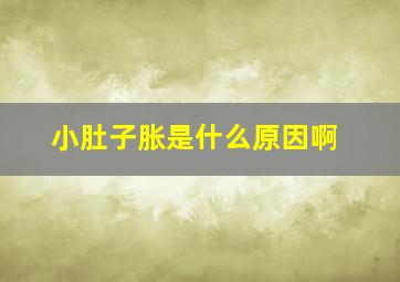 小肚子胀是什么原因啊