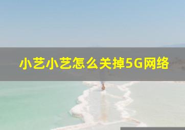 小艺小艺怎么关掉5G网络