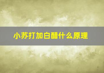 小苏打加白醋什么原理