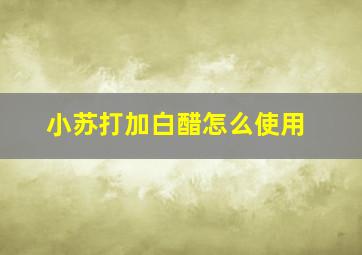 小苏打加白醋怎么使用