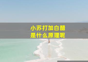 小苏打加白醋是什么原理呢