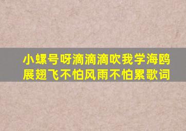 小螺号呀滴滴滴吹我学海鸥展翅飞不怕风雨不怕累歌词