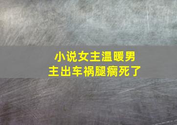 小说女主温暖男主出车祸腿瘸死了