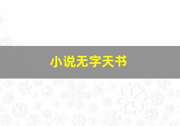 小说无字天书