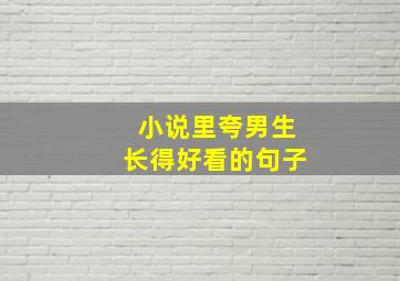 小说里夸男生长得好看的句子