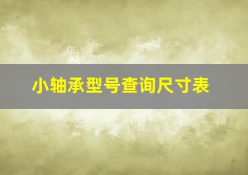 小轴承型号查询尺寸表