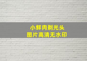 小鲜肉剃光头图片高清无水印