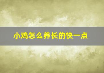 小鸡怎么养长的快一点