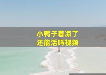 小鸭子着凉了还能活吗视频