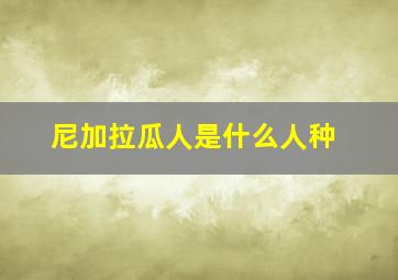 尼加拉瓜人是什么人种