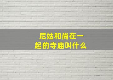 尼姑和尚在一起的寺庙叫什么