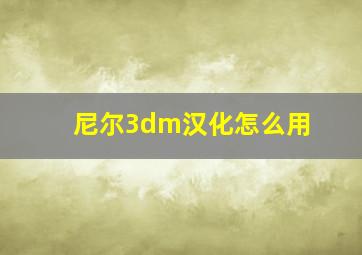 尼尔3dm汉化怎么用