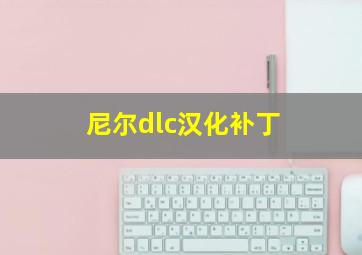 尼尔dlc汉化补丁