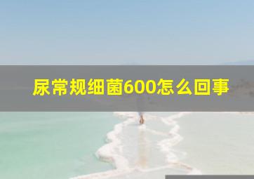 尿常规细菌600怎么回事